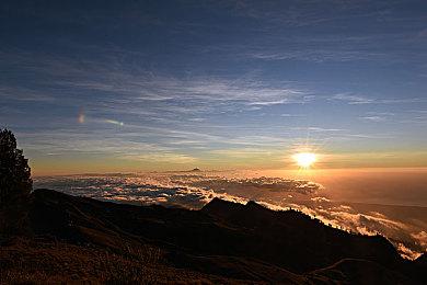 《胡闹搬家2》现已开启预购！将于8.15推出